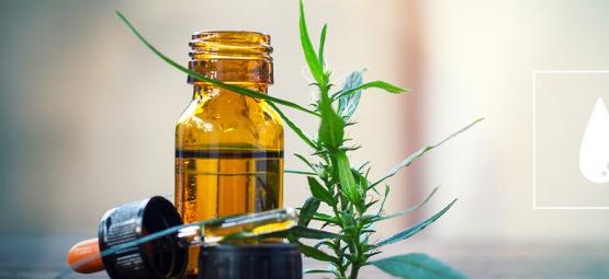 Täydellinen opas CO₂-kannabisöljyyn