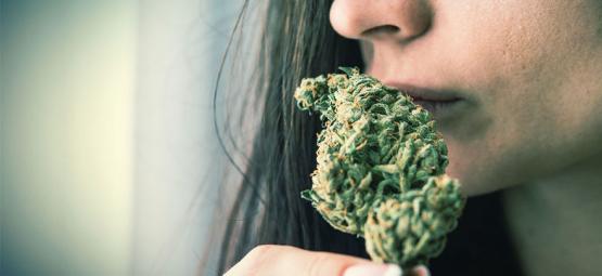Kuinka poistaa kannabiksen haju
