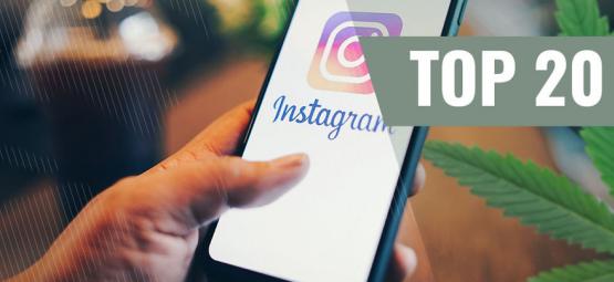 20 parasta kannabisaiheista Instagram-tiliä seurattavaksi [päivitys 2024]