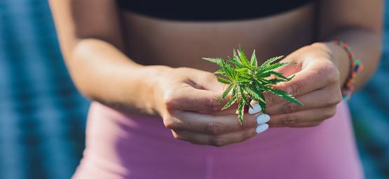 Voiko kannabis auttaa laihtumaan?