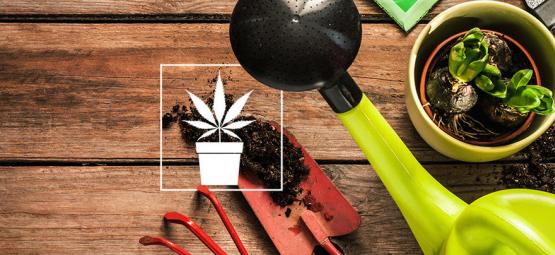 10 välttämätöntä työkalua kannabiksen kasvattajalle