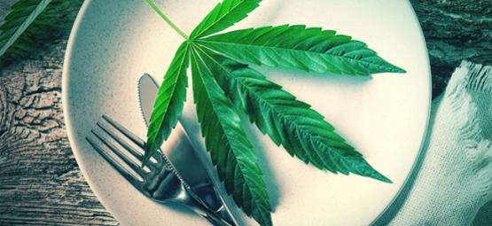 Onko raaka kannabiksen lehti superruokaa?