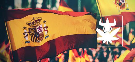 Top 10 espanjalaisten kannabisklubien suosikkilajikkeet
