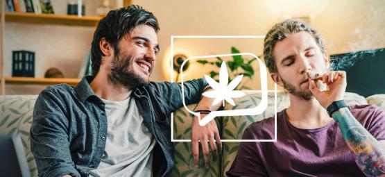 6 kannabislajiketta, jotka tekevät sinusta puheliaan ja seurallisen