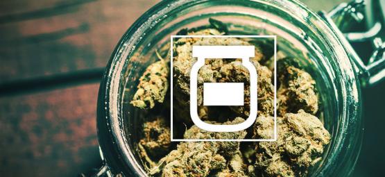 Näin ehkäiset homeen kannabiksen säilytyksessä