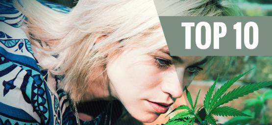 Top 10 vähähajuista kannabislajiketta hajun minimoimiseen