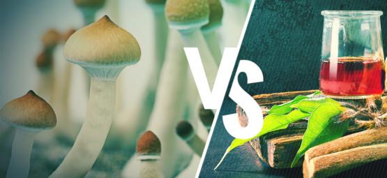 Ayahuasca vs taikasienet: mitä eroa niillä on?