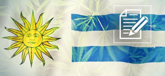 Uruguay: kannabisparatiisista kaaokseen