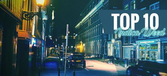 Top 10 parasta indica-kannabista Amsterdamissa