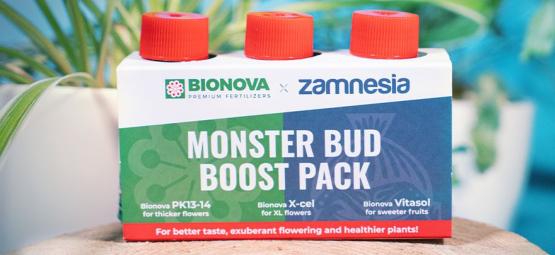 Kasvata hedelmäisempiä kannabiksen kukkia Monster Bud Boost Pack -paketilla
