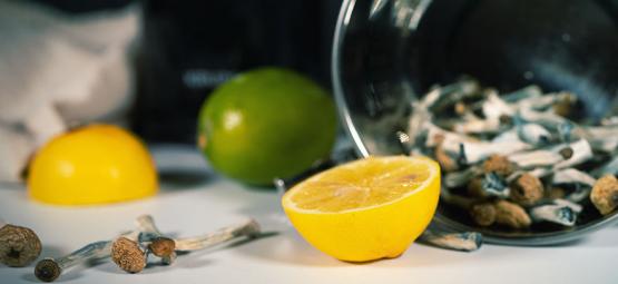 Kuinka tehdä Lemon Tek nopeampaa taikasieni-/maaginen tryffeli -matkaa varten