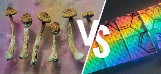 Taikasienet vs. LSD: mitä eroa niillä on?