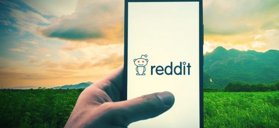 Redditin top 10 kannabisyhteisöä