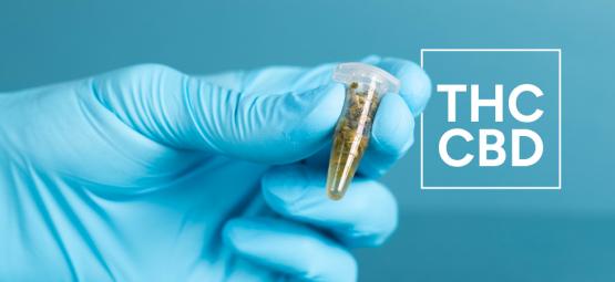 Miten mitata THC- ja CBD-pitoisuudet kannabistuotteissa