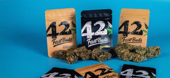 FastBuds: Apteekkitason kannabista ennätysajassa