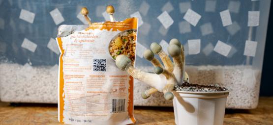 Uncle Ben’s Rice Tek: Edullinen tapa kasvattaa taikasieniä