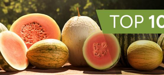 Top 10 erikoista melonilajiketta