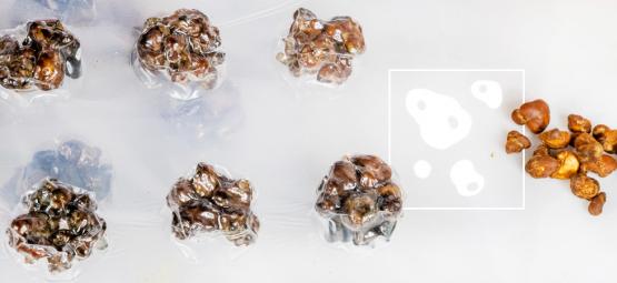 Mikroannostelun menetelmät maagisille tryffeleille