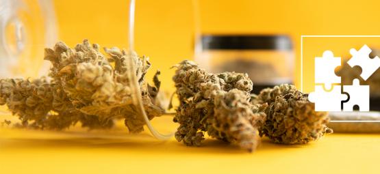 THC:n mikroannostelu: mitä se on ja miten se toimii?