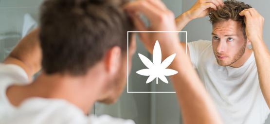 Kannabiksen vaikutus hiuksiin