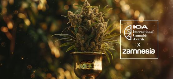 International Cannabis Awards 2024 — Zamnesia kahmi ison voiton!