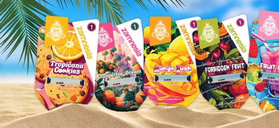 Zamnesia Seeds Show -jakso 3: Club Tropicana