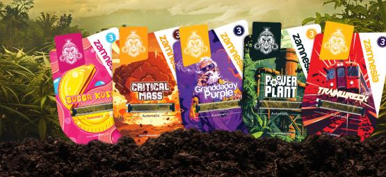 Zamnesia Seeds Show’n jakso 4: Klassiset legendat