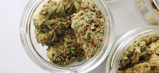 Automaattisen kannabiksen kuivatus- ja kypsytysjärjestelmän rakentaminen: vaihe vaiheelta