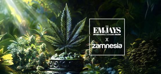 The Emjays – kansainväliset kannabisalan palkinnot – Zamnesia voitti isosti
