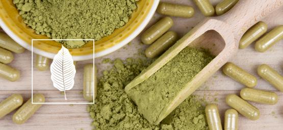 Kuinka kratomia käytetään