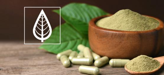 Mitä eroa on kratom-lajikkeilla?