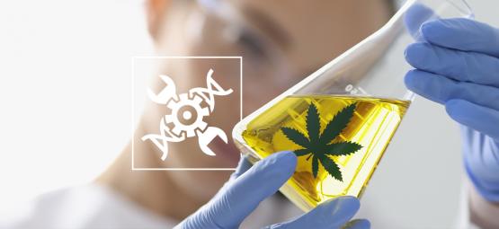 Kannabis biohakkeroinnissa: ainutlaatuinen lähestymistapa moderniin hyvinvointiin