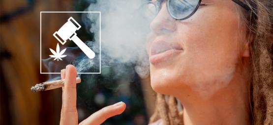 Kasvavan kannabismatkailun alan kehityksen tarkastelu