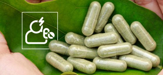 Kratomin turvallisuus ja haittavaikutukset: mitä sinun tulee tietää