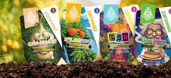 Tervetuloa Sector Z: salainen opas kannabiksen löytämiseen