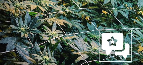 Lajikearvio: Casey Jones