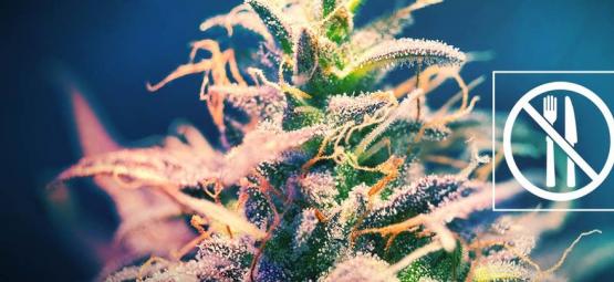 Kannabislajikkeet, jotka eivät aiheuta nälkää?