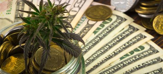 Kannabis ja Yhdysvaltojen talous