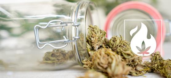 Kuinka dekaboksyloida kannabis: 3 menetelmää