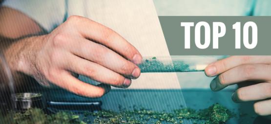 Top 10 syytä lopettaa tupakan käyttö ja polttaa kannabista ilman tupakkaa