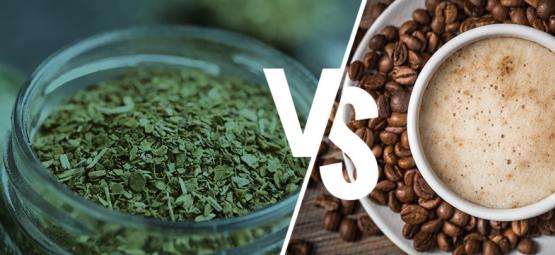 Yerba maté vai kahvi: kannattaako vaihtaa?