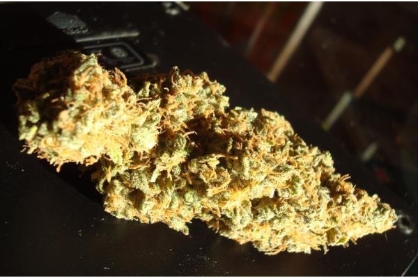 Power Flower (Royal Queen Seeds) Feminisoidut