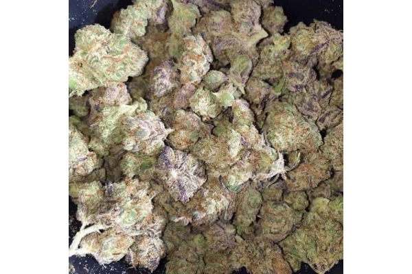 Blueberry Autoflower (Zamnesia Seeds) Feminisoidut Blueberry Autoflower (Zamnesia Seeds) Feminisoidut