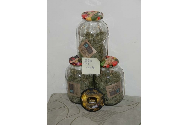 King's Kush Autoflower (Greenhouse Seeds) Feminisoidut King's Kush Autoflower (Greenhouse Seeds) Feminisoidut