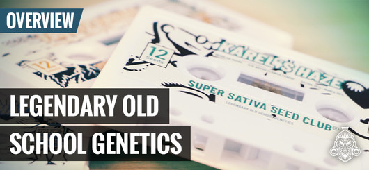 Oldskool-kannabisgenetiikka | Super Sativa Seed Club
